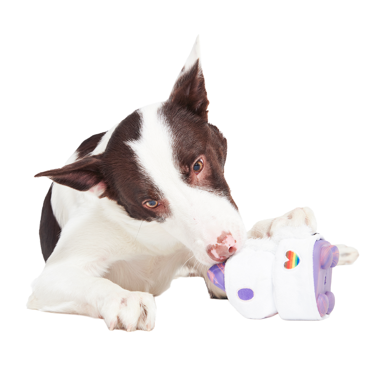 Disco Giddy Super Chewer Durable 2-in-1 Dog Toy