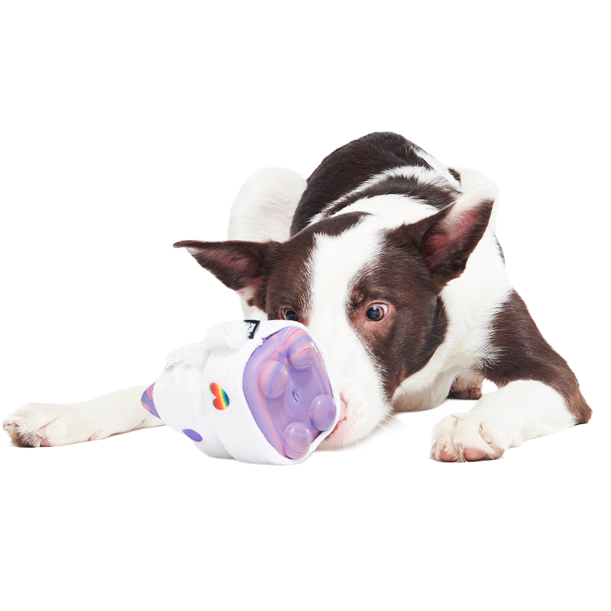 Disco Giddy Super Chewer Durable 2-in-1 Dog Toy