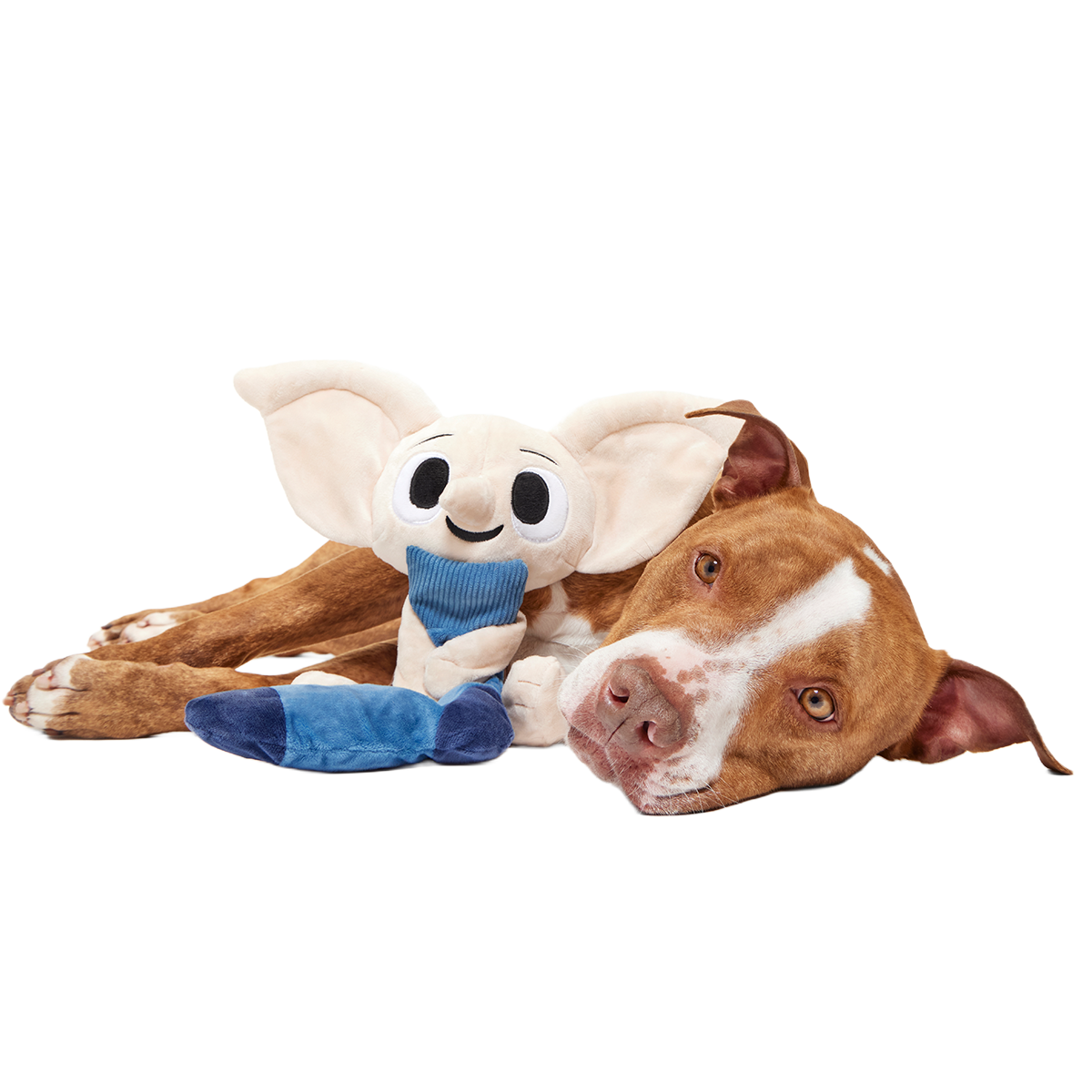 Dobby™ Plush 2-in-1 + Tug Dog Toy