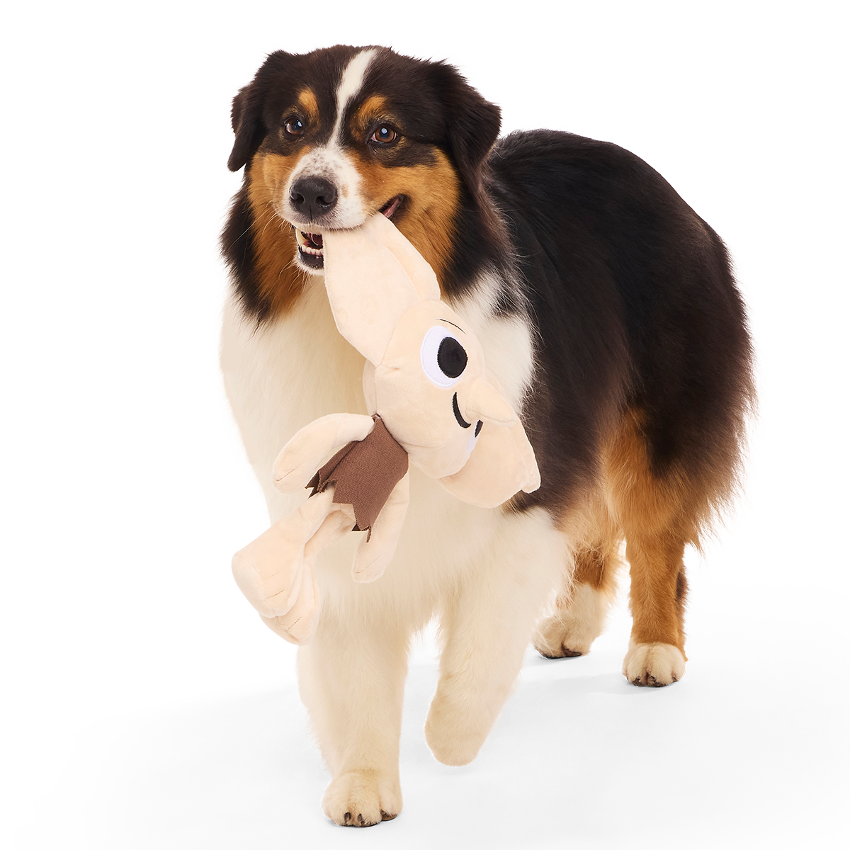 Dobby™ Plush 2-in-1 + Tug Dog Toy