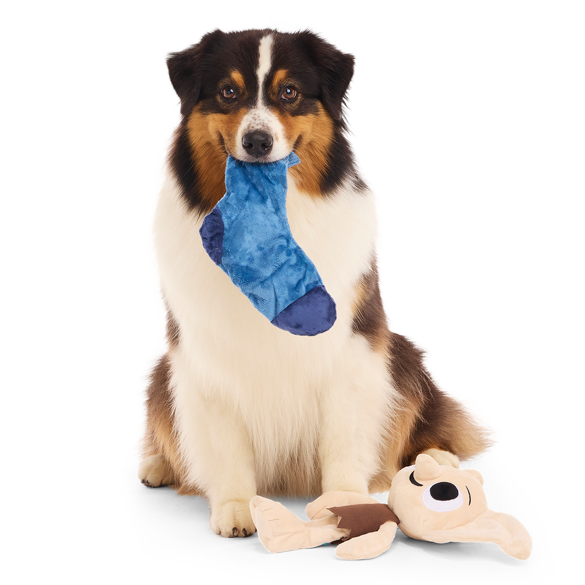 Dobby™ Plush 2-in-1 + Tug Dog Toy