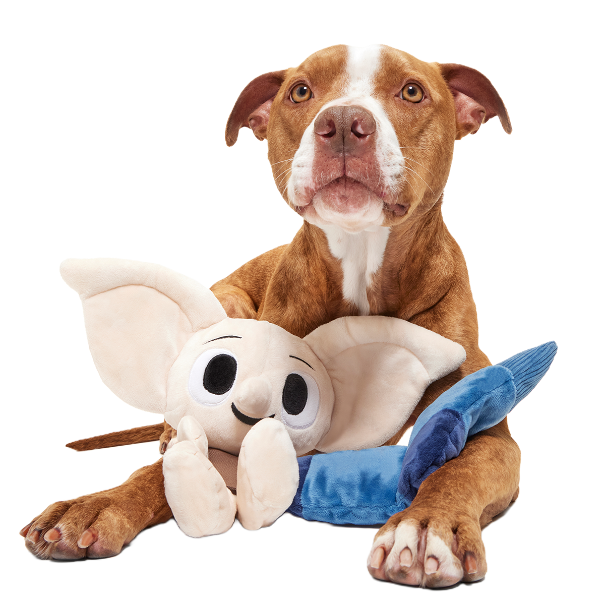 Dobby™ Plush 2-in-1 + Tug Dog Toy