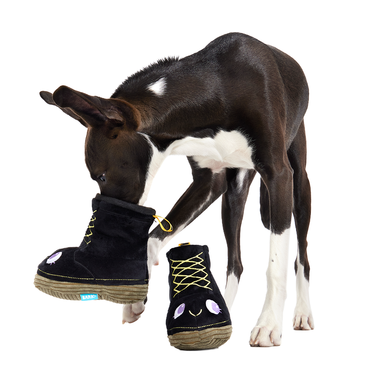 Dog Barkens Plush Multi-Part Dog Toy