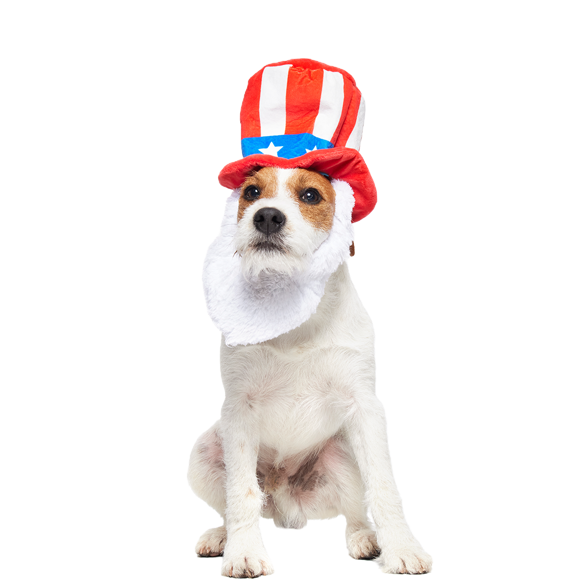 Dog Bless America Plush Wearable Tug Dog Toy