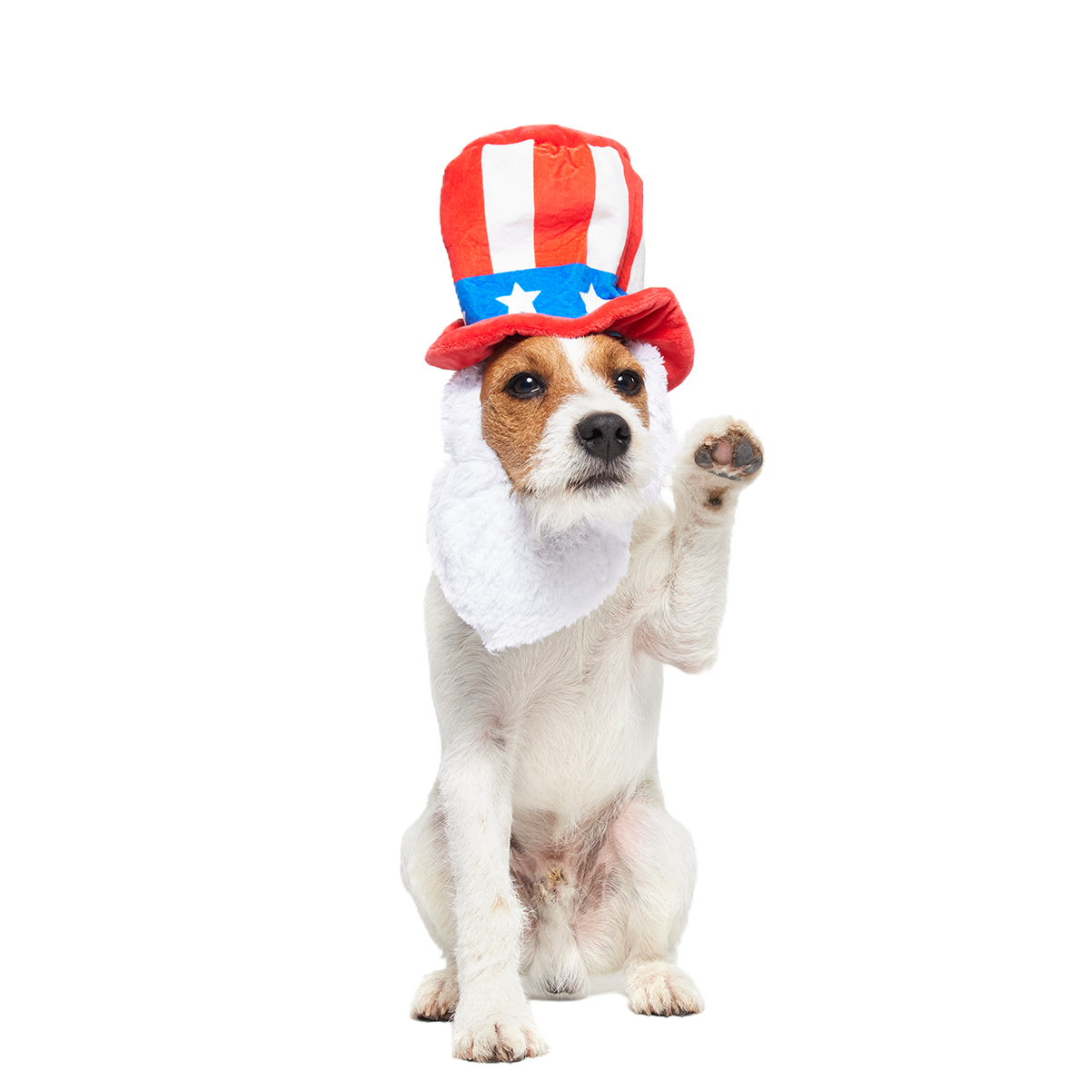 Dog Bless America Plush Wearable Tug Dog Toy