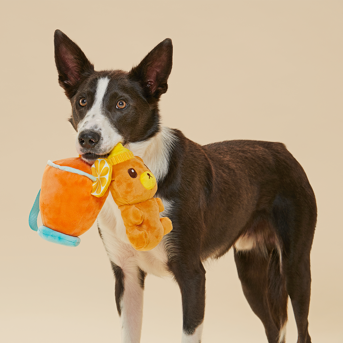 Cocktail Club, Plush Cocktail Monthly Dog Toys