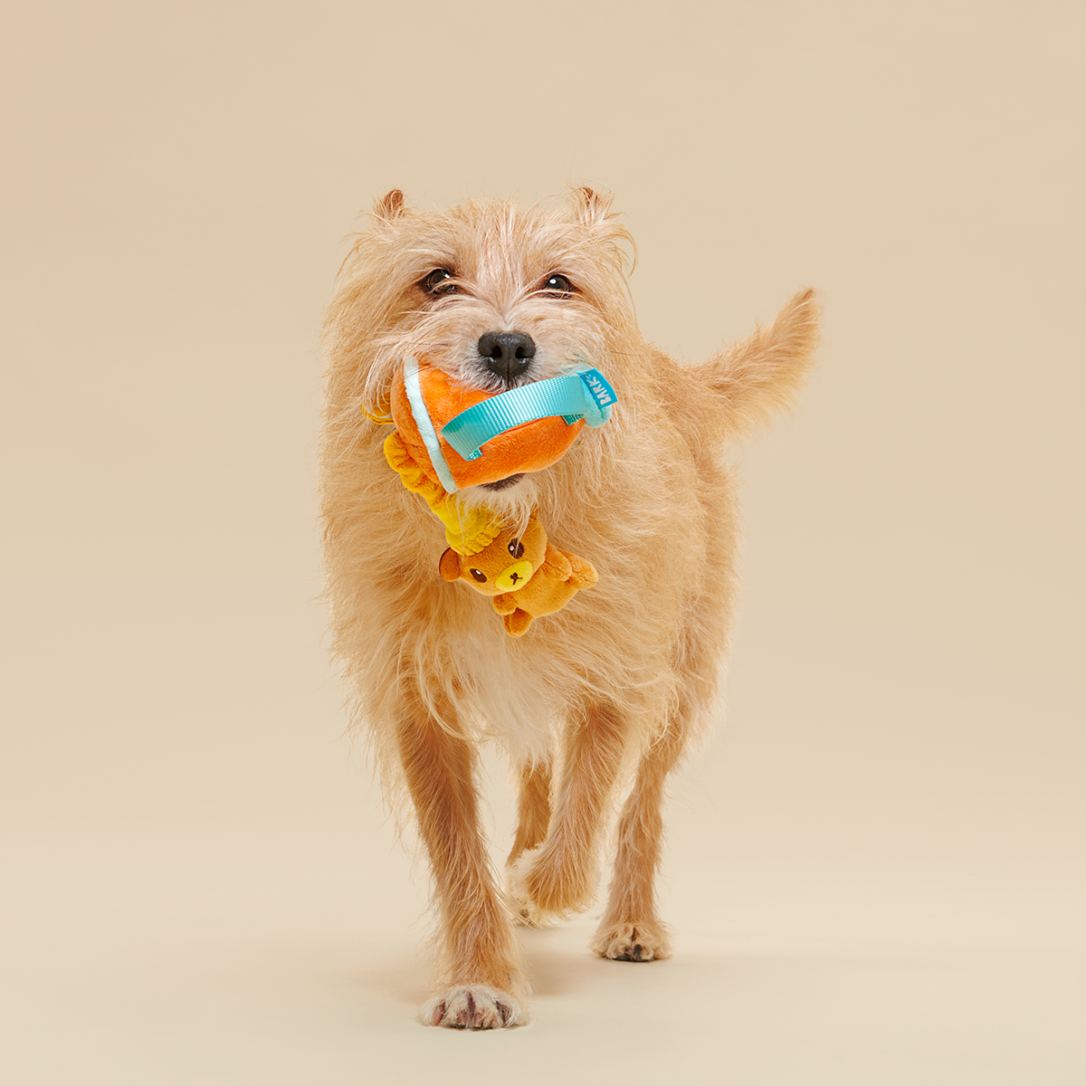 Cocktail Club, Plush Cocktail Monthly Dog Toys