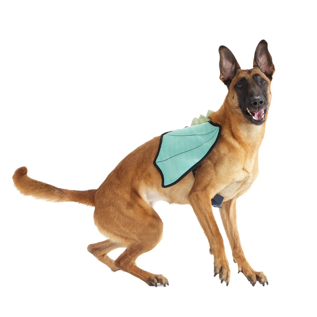 Doggo Dragon Wings Costume + Wearable Dog Toy