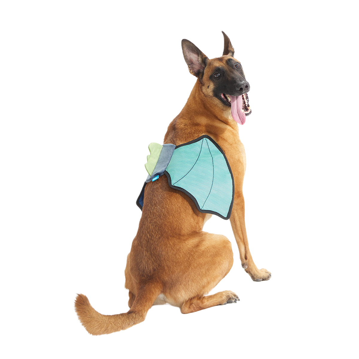 Doggo Dragon Wings Costume + Wearable Dog Toy