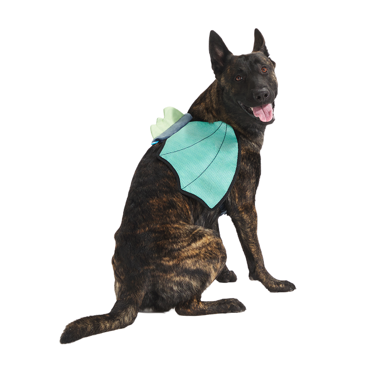 Doggo Dragon Wings Costume + Wearable Dog Toy