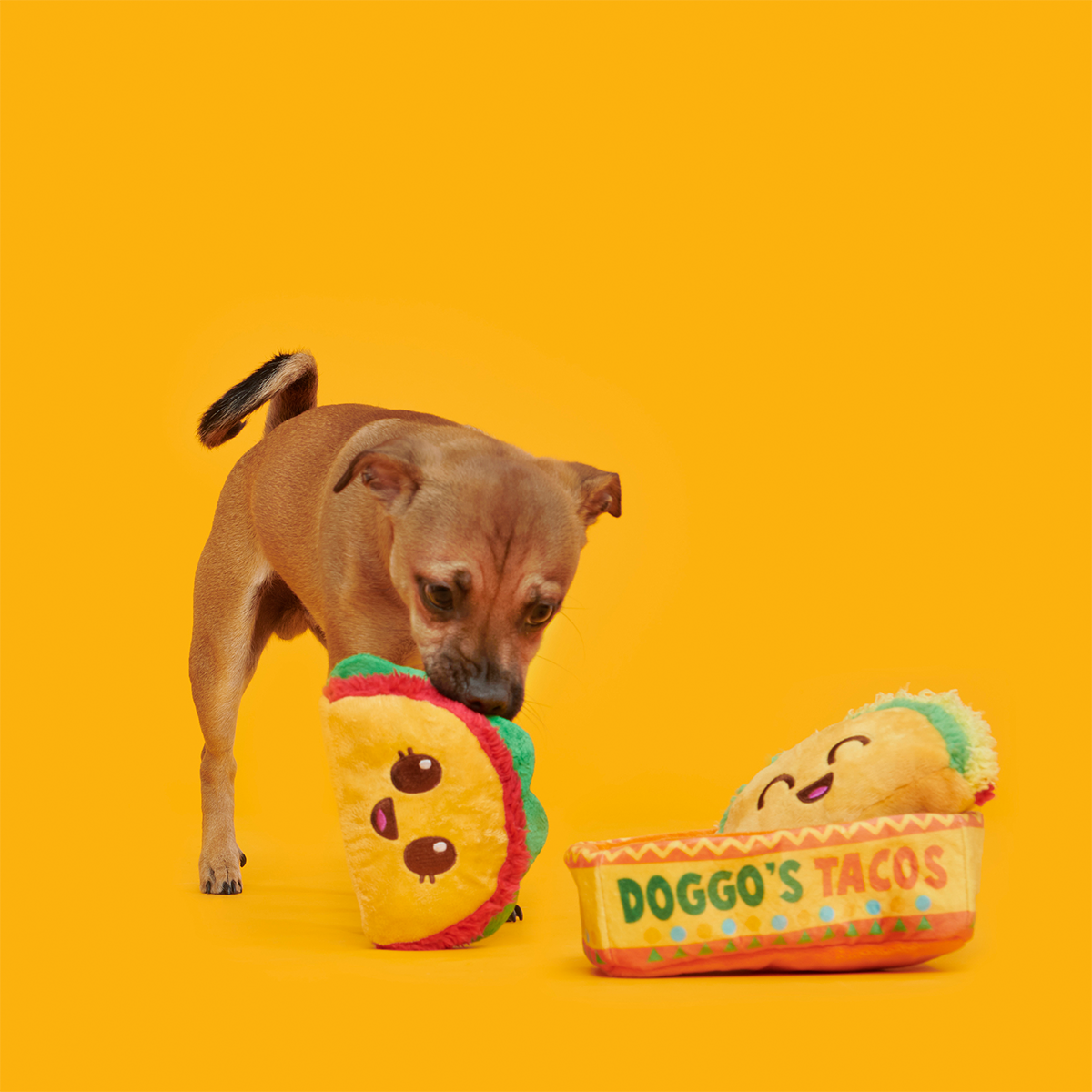 Doggo's Tacos Plush Multi-Part Enrichment Dog Toy