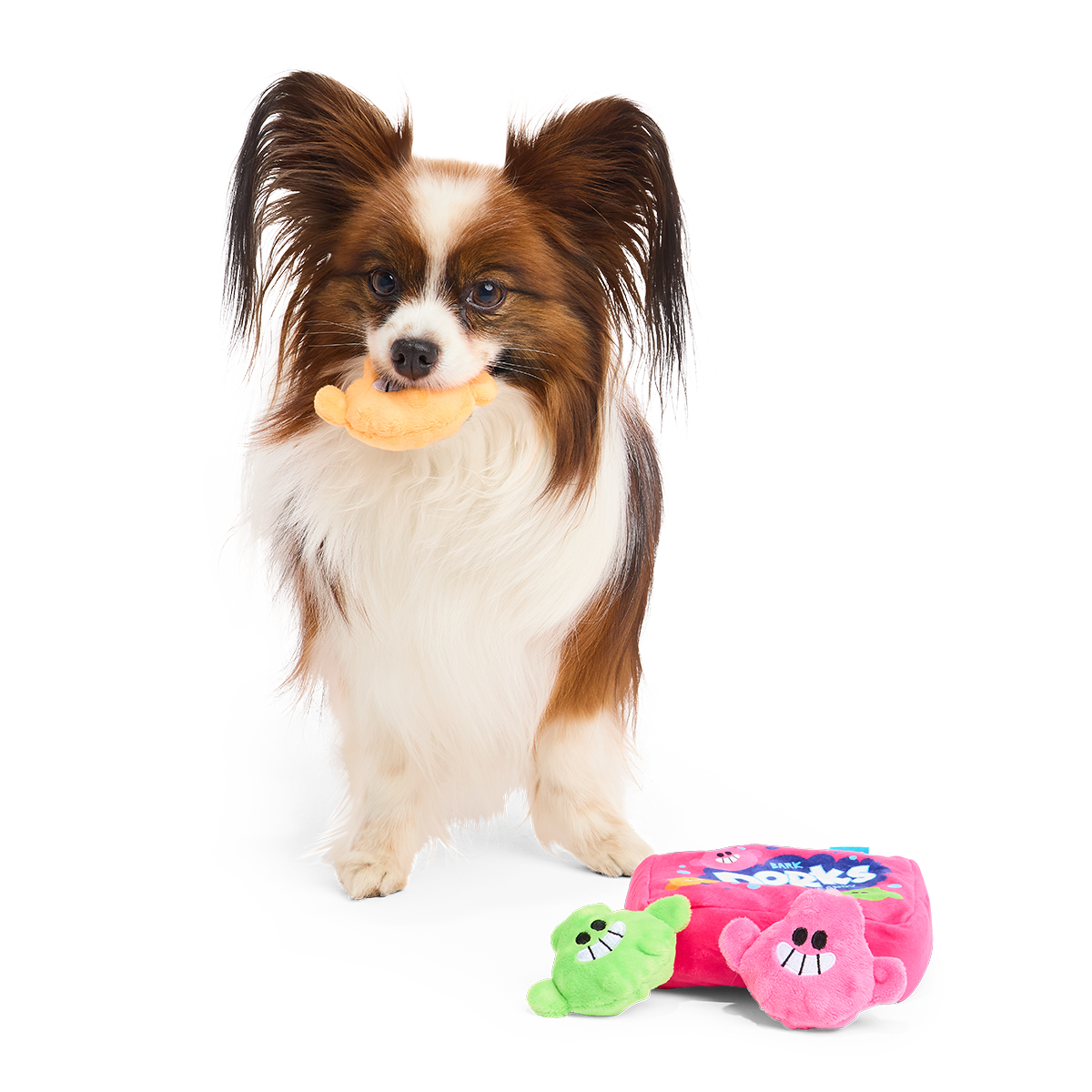 Dorks Plush Multi-Part + Enrichment Dog Toy