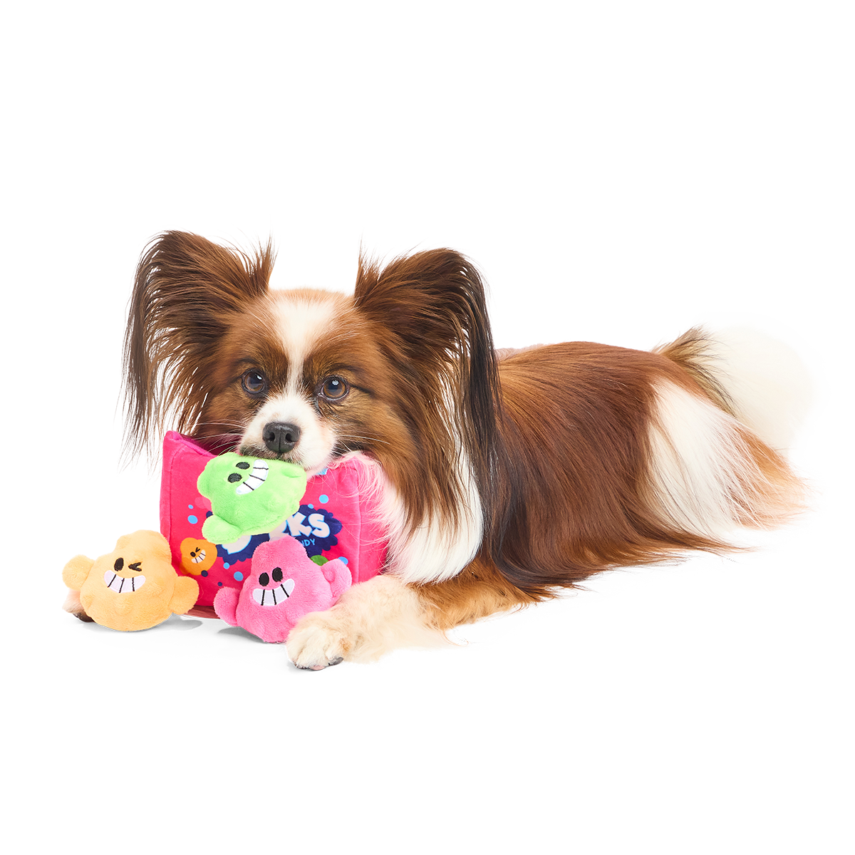 Dorks Plush Multi-Part + Enrichment Dog Toy