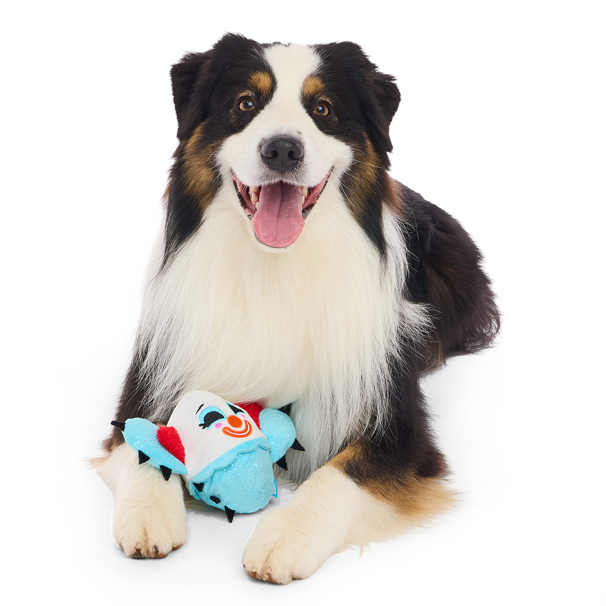 Down to Clown Consuela Plush 2-in-1 + Tug Dog Toy