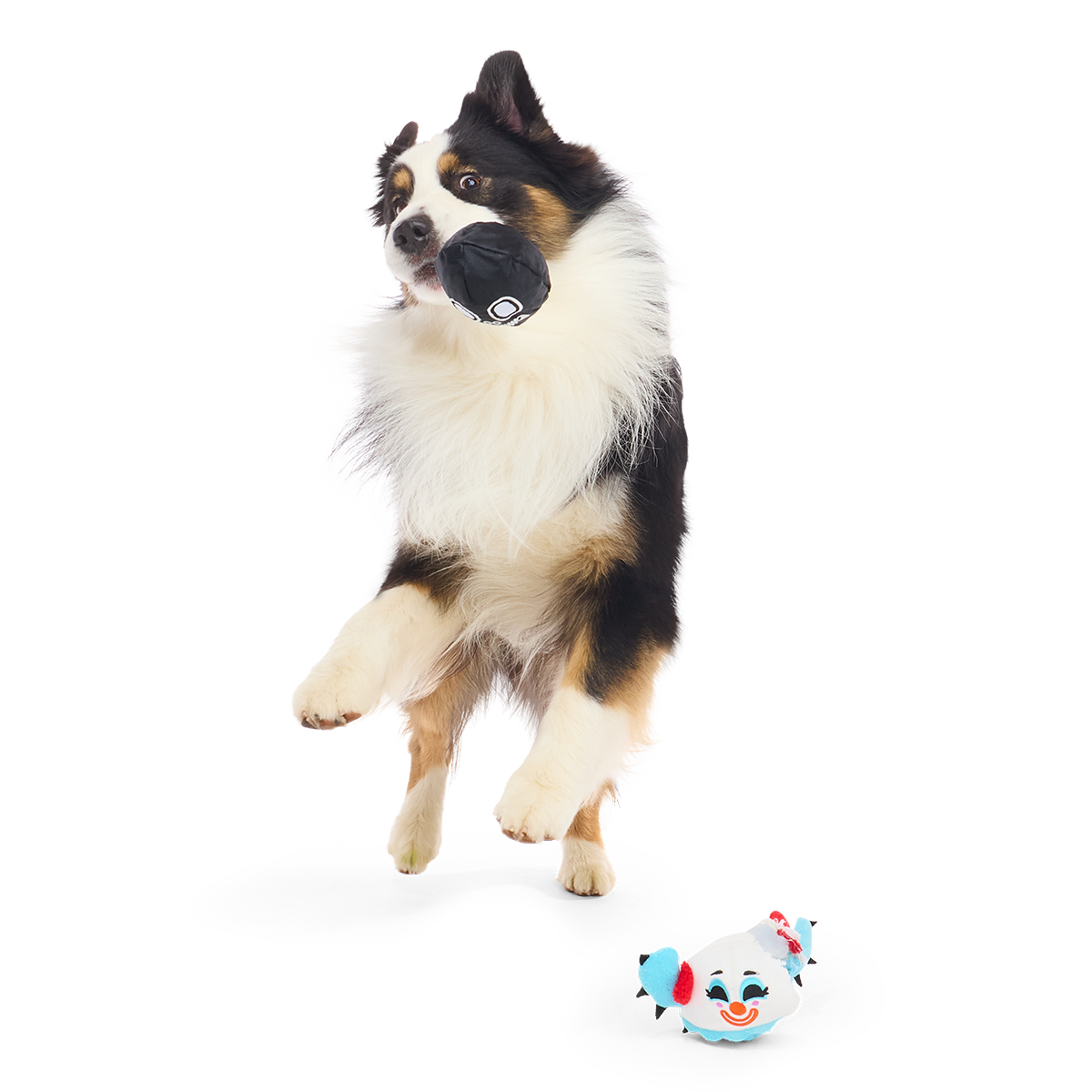 Down to Clown Consuela Plush 2-in-1 + Tug Dog Toy