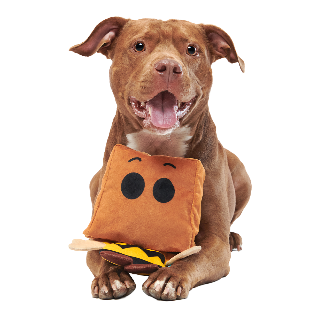 Dr. Jekyll & Mr. Sack Plush Extra-Large + Tug Dog Toy