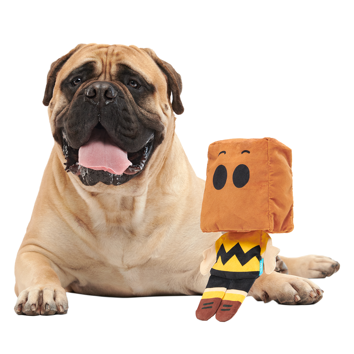 Dr. Jekyll & Mr. Sack Plush Extra-Large + Tug Dog Toy