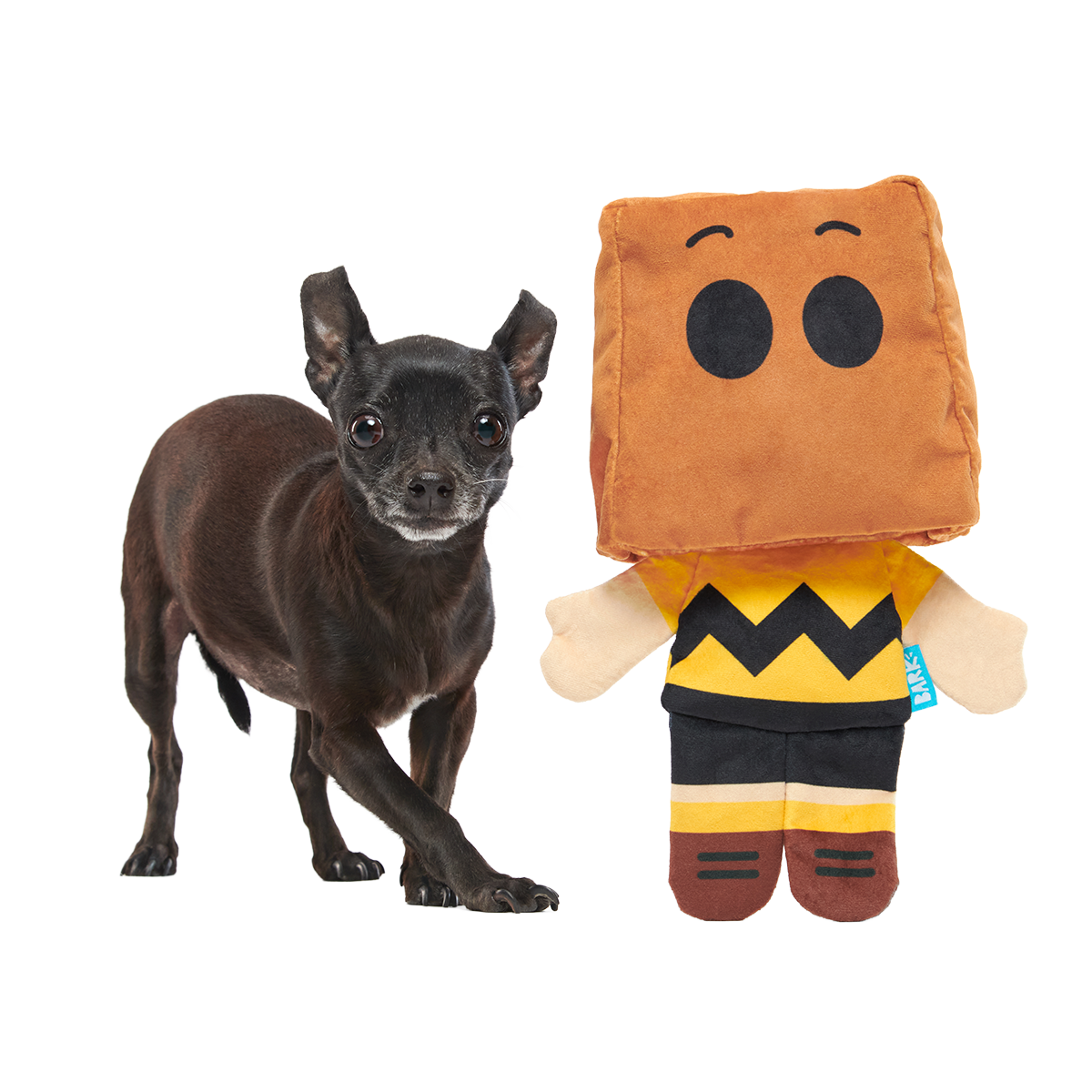 Dr. Jekyll & Mr. Sack Plush Extra-Large + Tug Dog Toy