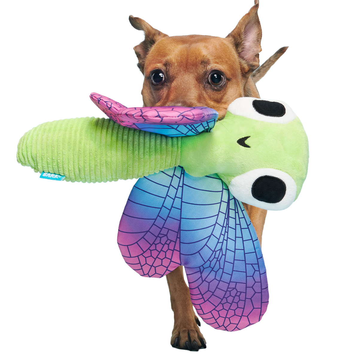 Dragonfly Guy Plush Tug + Extra-Large Dog Toy