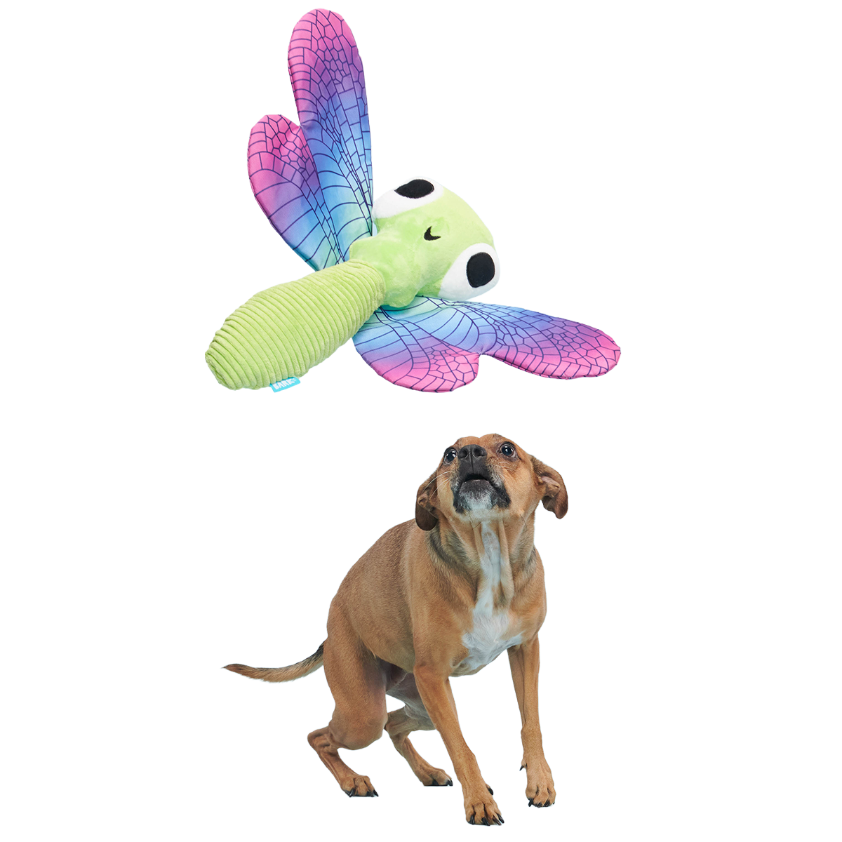 Dragonfly Guy Plush Tug + Extra-Large Dog Toy