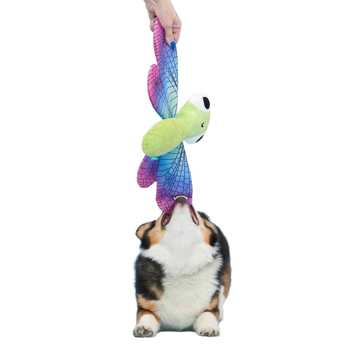 Dragonfly Guy Plush Tug + Extra-Large Dog Toy