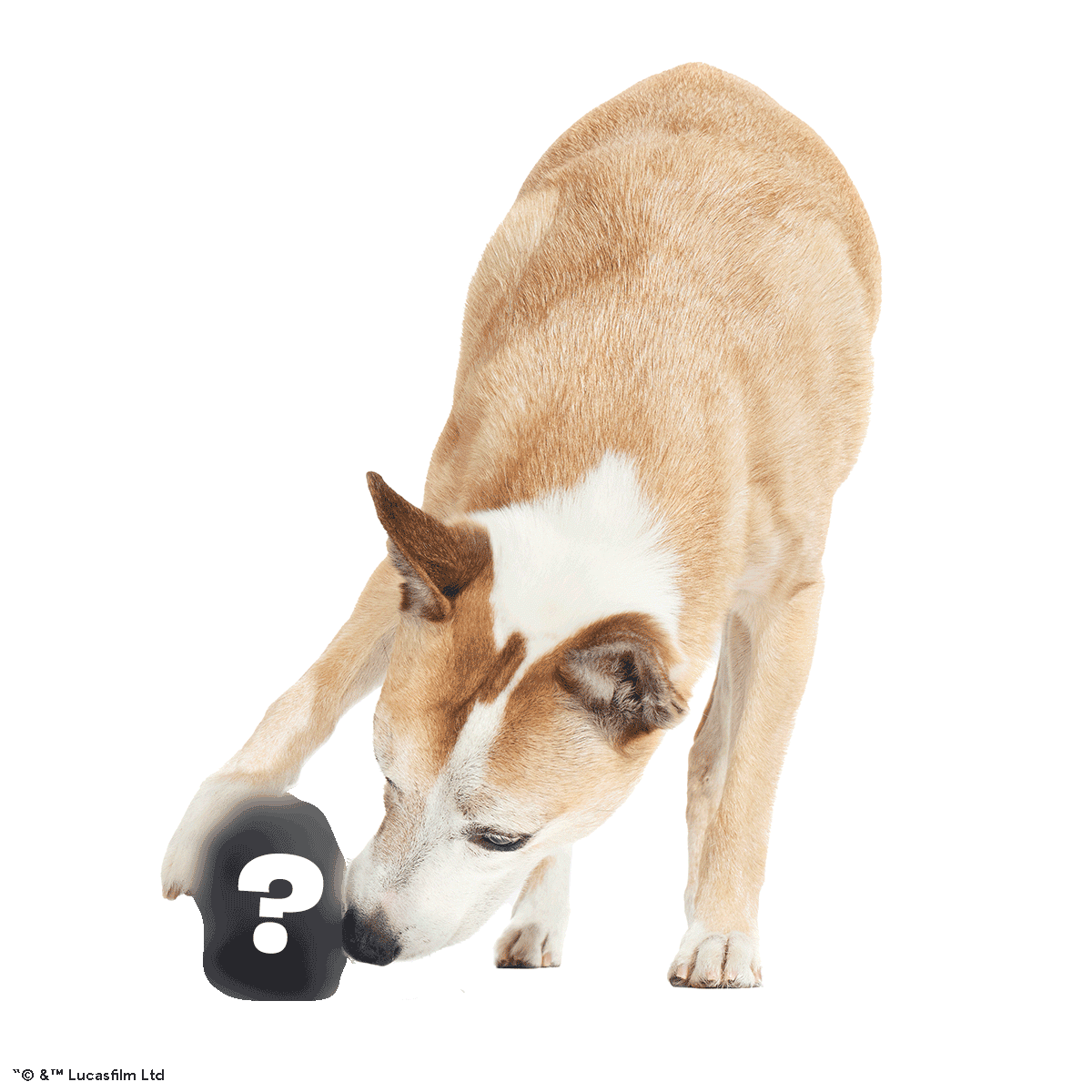 Star Wars™ Droid Smugglers Club