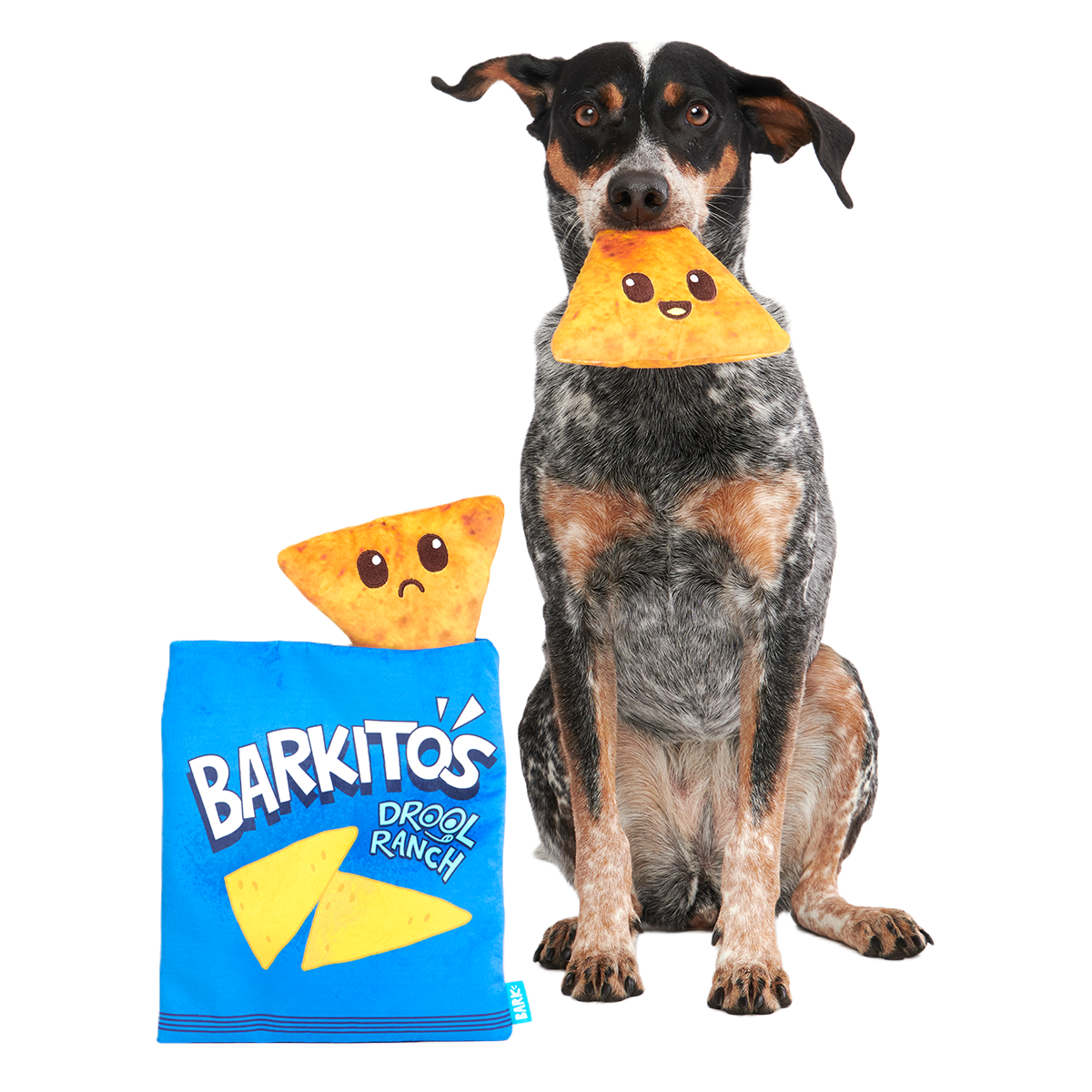 Drool Ranch Chips Plush Enrichment + Multi-Part Dog Toy