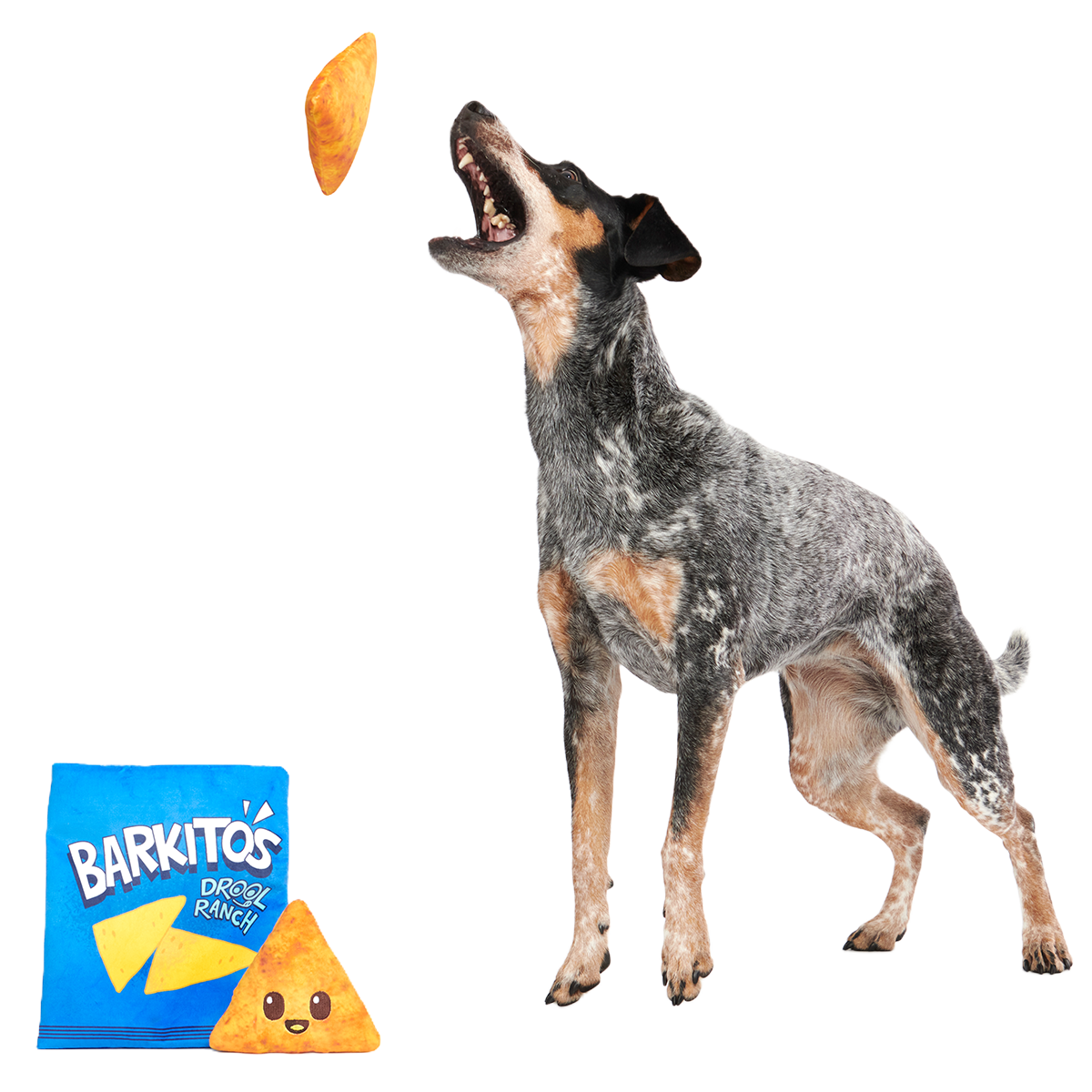 Drool Ranch Chips Plush Enrichment + Multi-Part Dog Toy