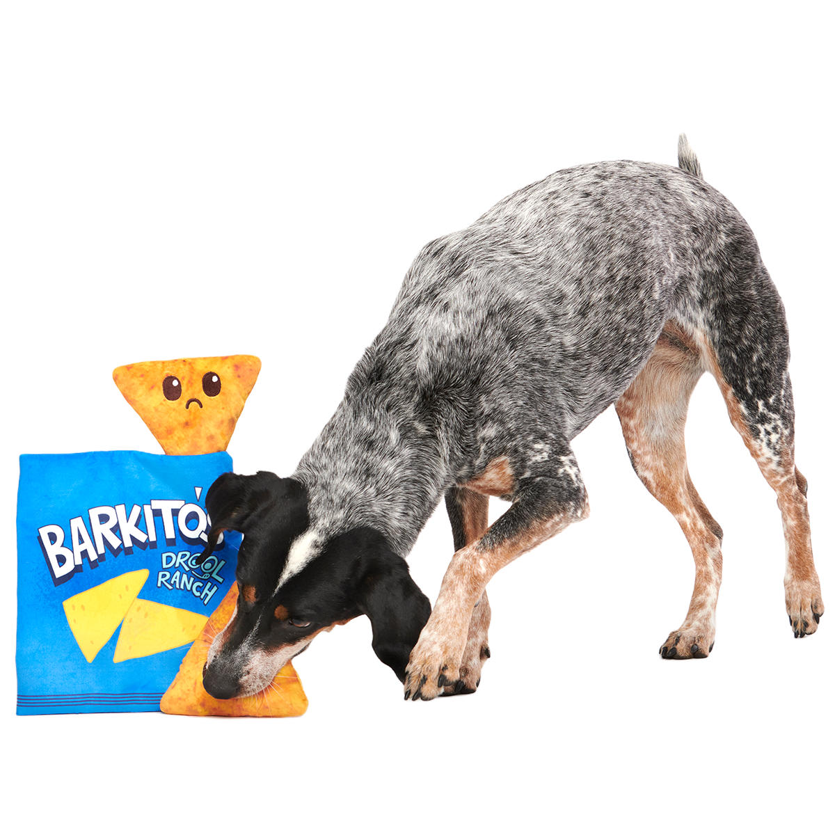 Drool Ranch Chips Plush Enrichment + Multi-Part Dog Toy