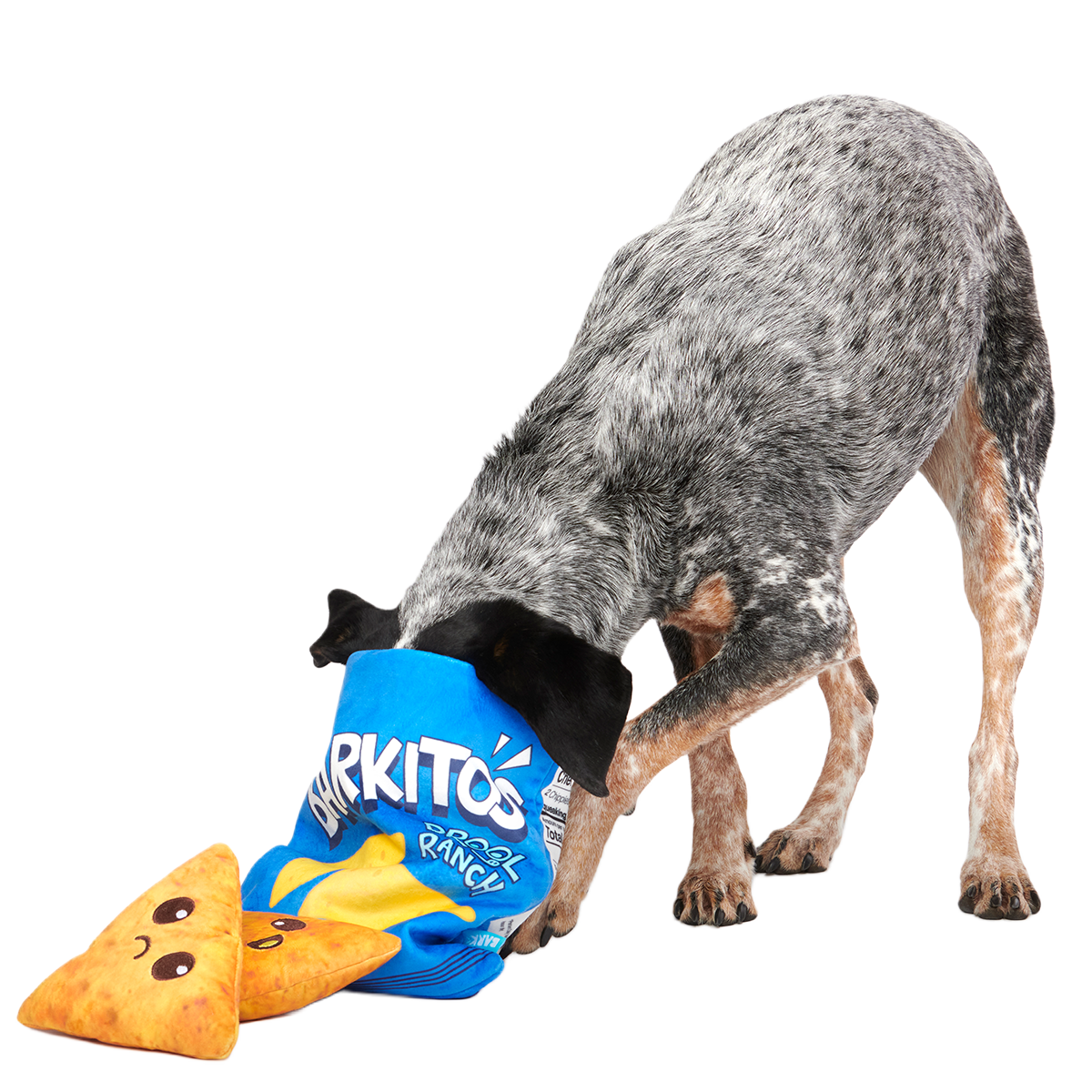 Drool Ranch Chips Plush Enrichment + Multi-Part Dog Toy