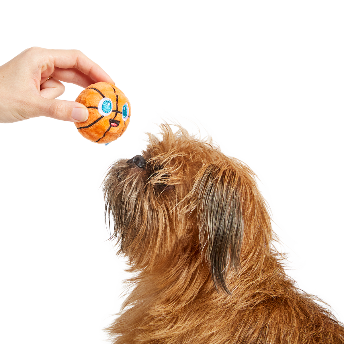 Drool & Dribble Basketball Plush Fetch Dog Toy