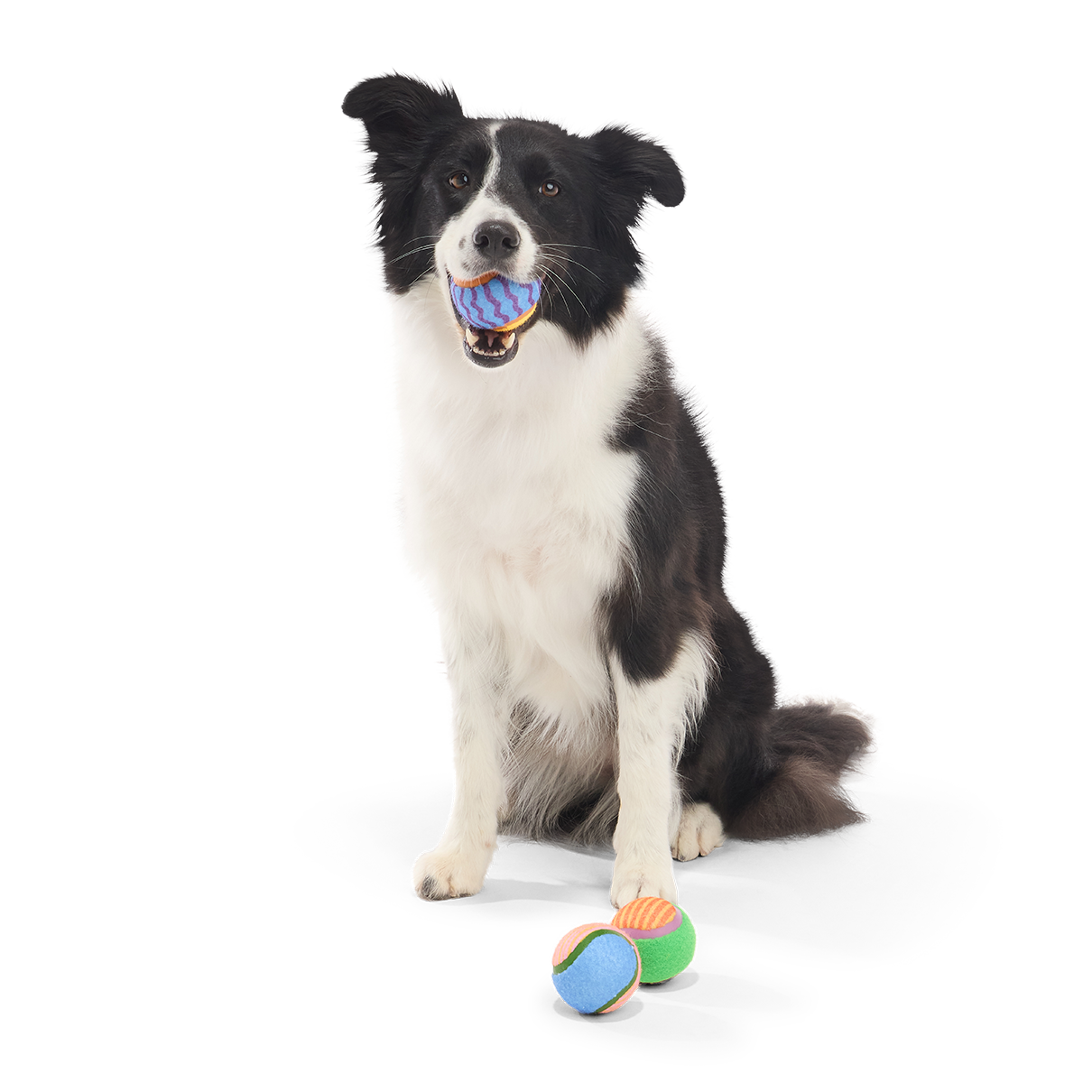 Tennis Ball Club, 3 Squeaky Monthly Tennis Ball Dog Toys