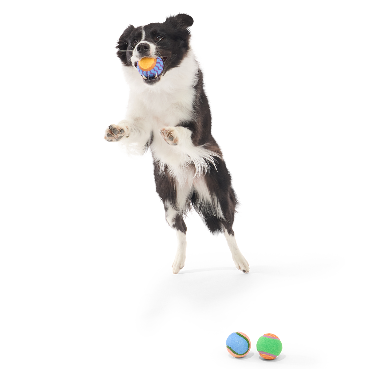 Tennis Ball Club, 3 Squeaky Monthly Tennis Ball Dog Toys