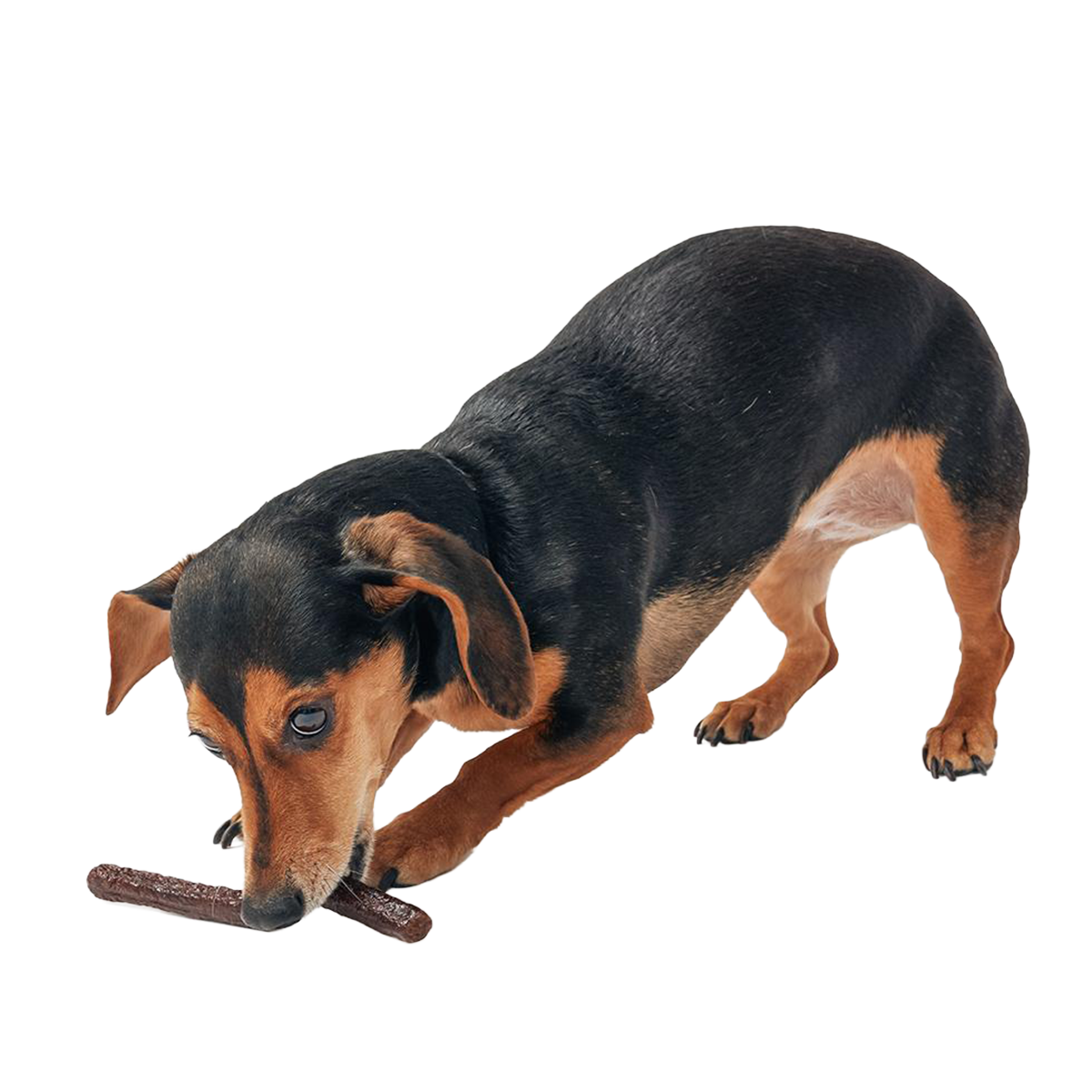 Duck Thinkers Stick Hard & Chewy Dog Treats, 2-Pack