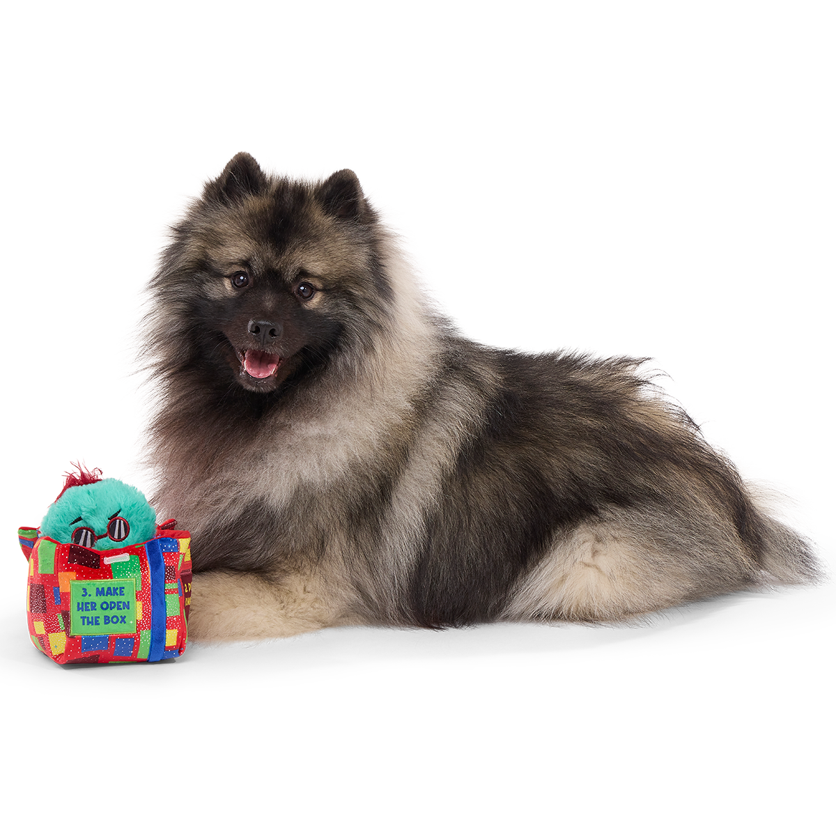 Saturday Night Live: Duck in A Box Plush Multi-Part + Enrichment Dog Toy