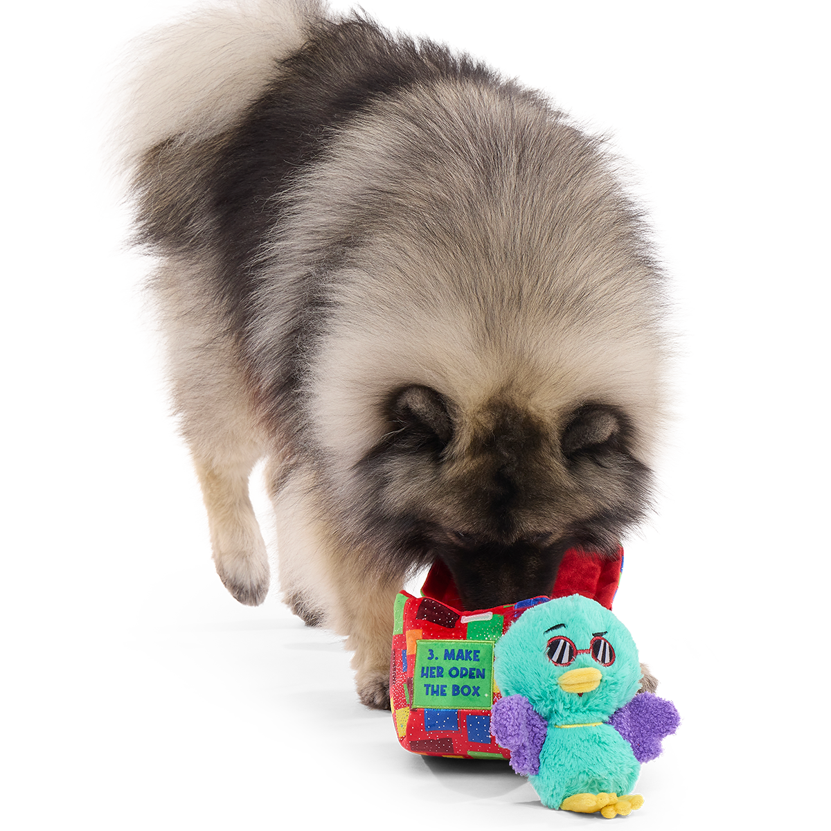 Saturday Night Live: Duck in A Box Plush Multi-Part + Enrichment Dog Toy
