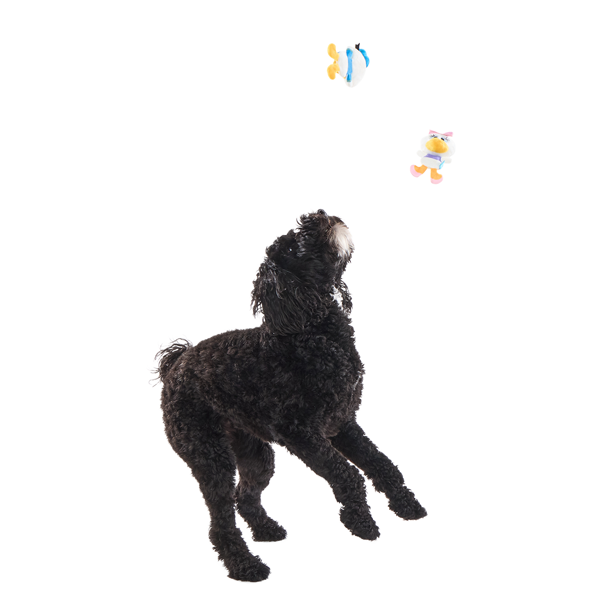 Ducks of a Feather Plush Multi-Part Dog Toy
