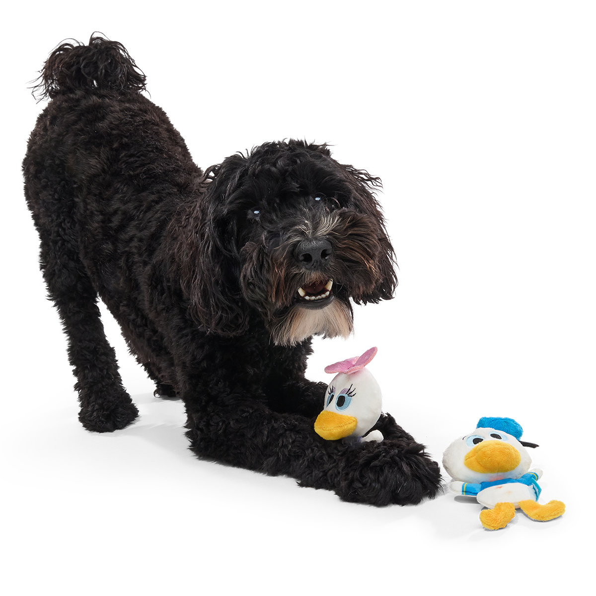 Ducks of a Feather Plush Multi-Part Dog Toy