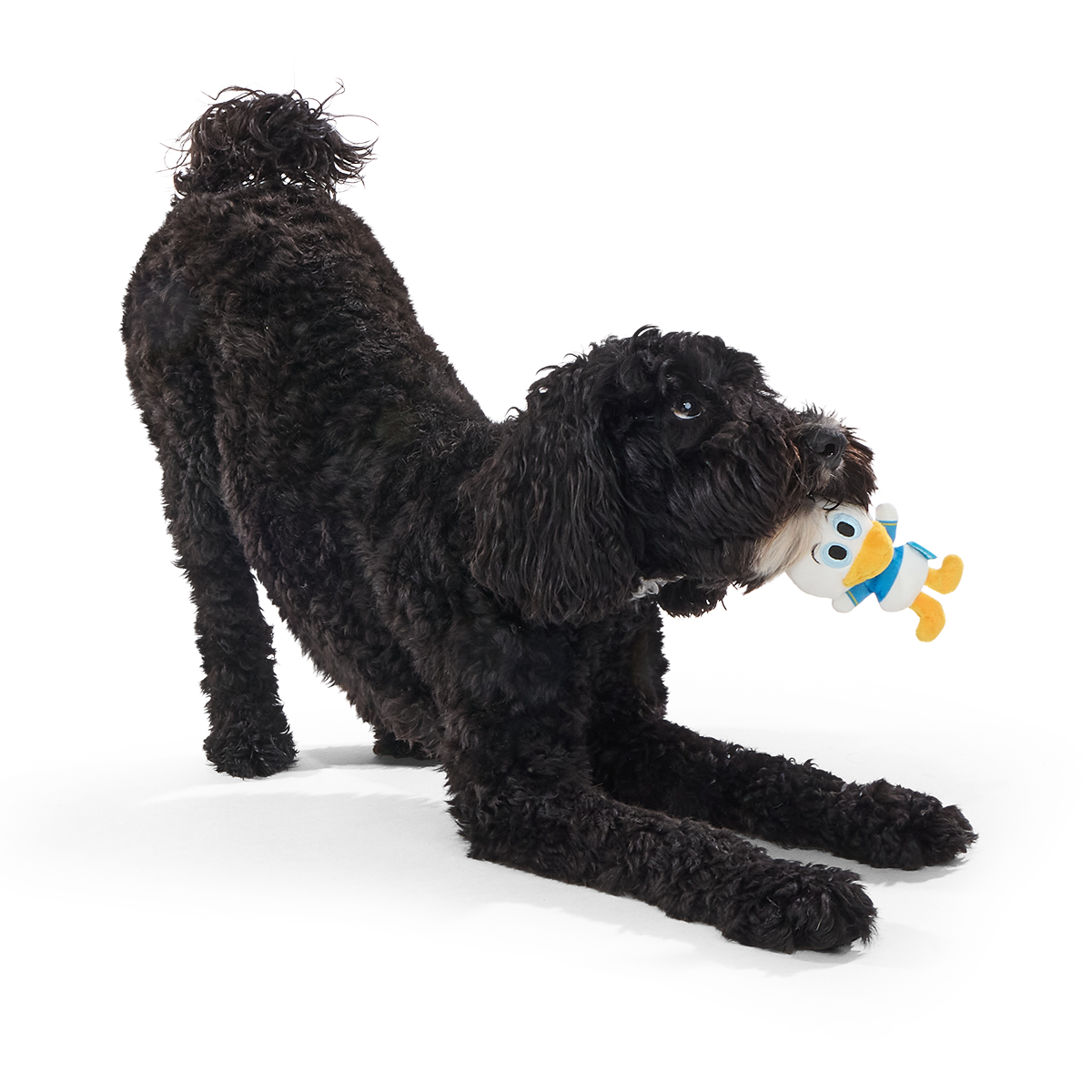 Ducks of a Feather Plush Multi-Part Dog Toy