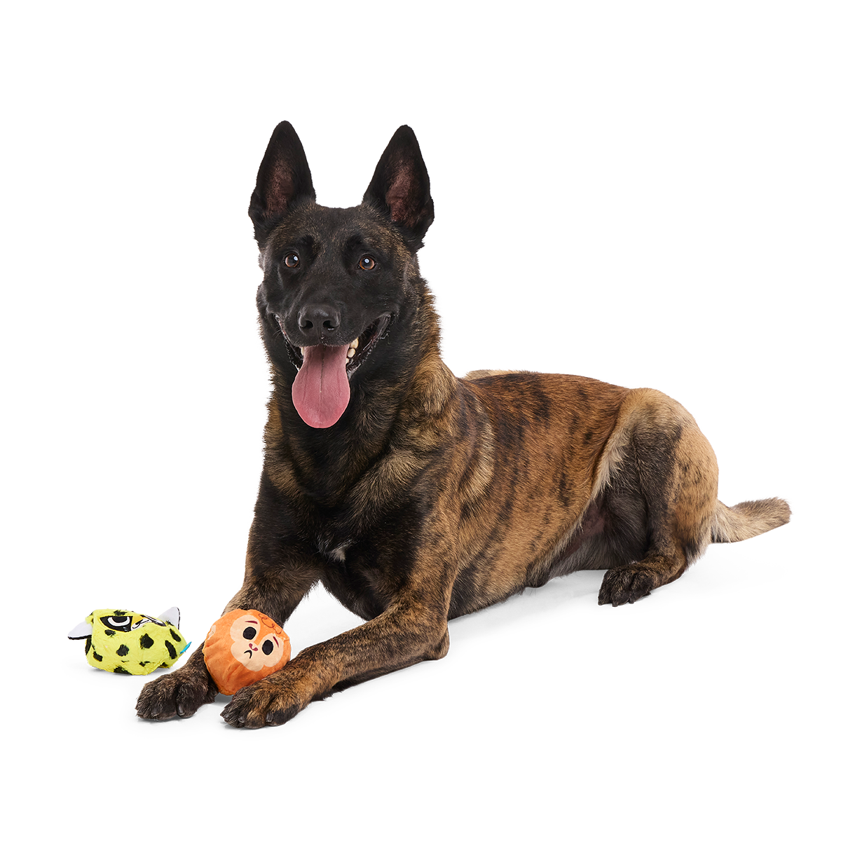 Duma Njaa Plush 3-in-1 + Fetch Dog Toy