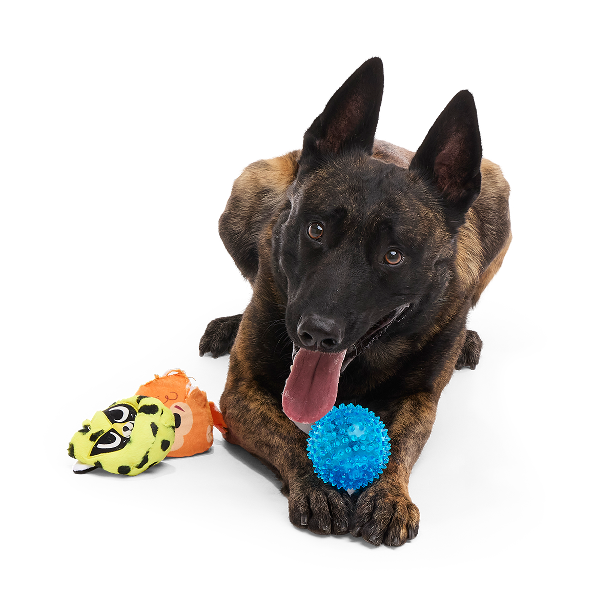 Duma Njaa Plush 3-in-1 + Fetch Dog Toy