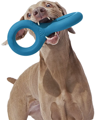 Super Chewer key art