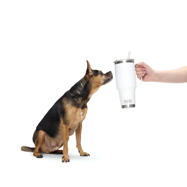 Don’t Let This Deal Run Dry!