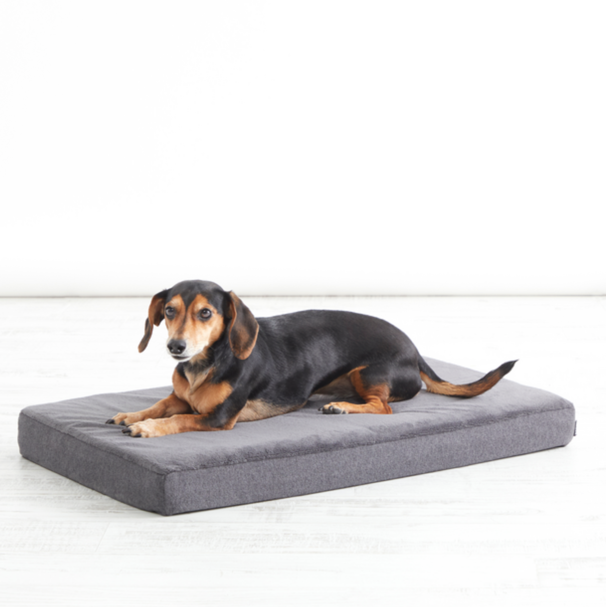 Platform Dog Bed