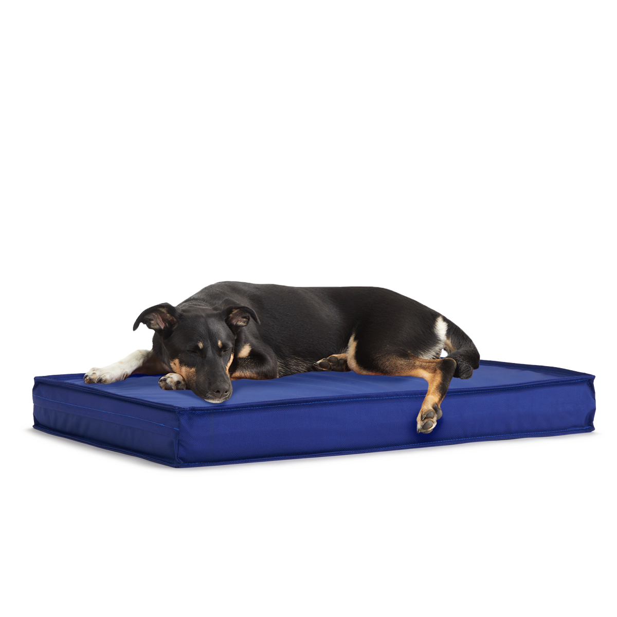 Outdoor Dog Bed