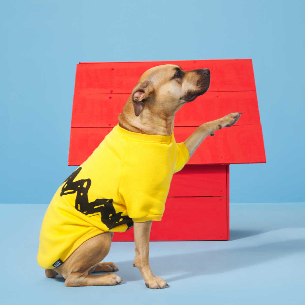 Peanuts Dog Sweatshirt