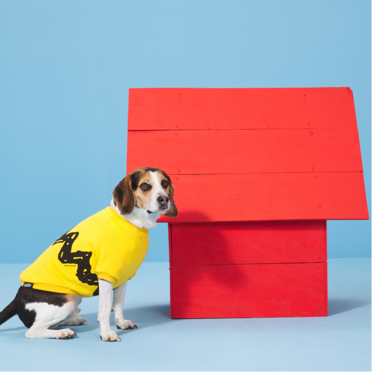 Peanuts Dog Sweatshirt