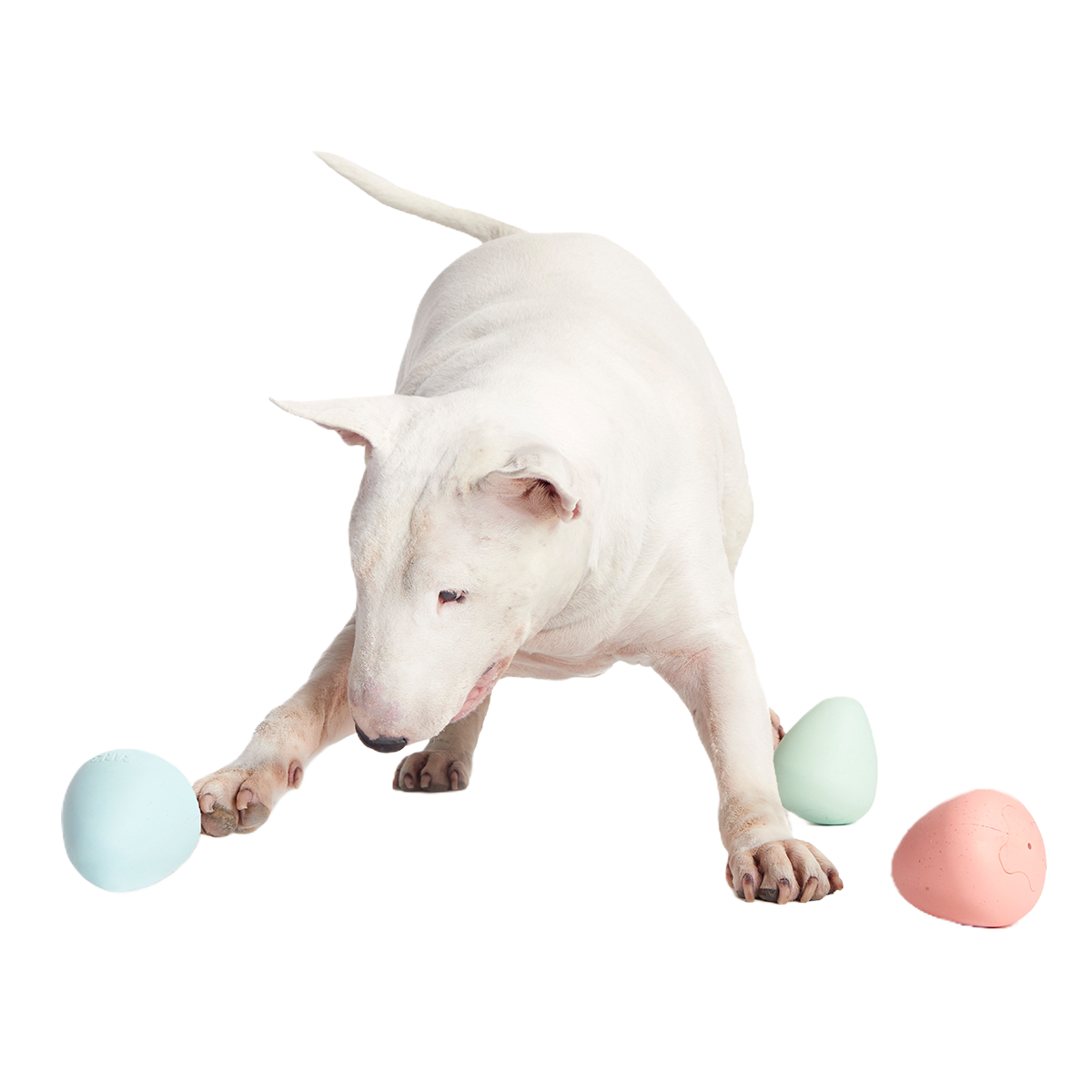 Easter Funday Bundle Super Chewer Durable Multi-Part + Fetch Dog Toy
