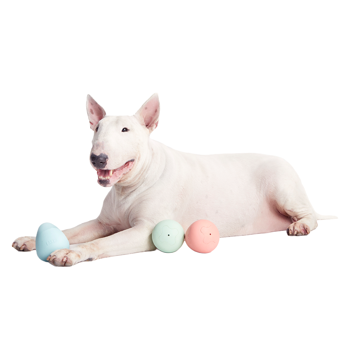 Easter Funday Bundle Super Chewer Durable Multi-Part + Fetch Dog Toy