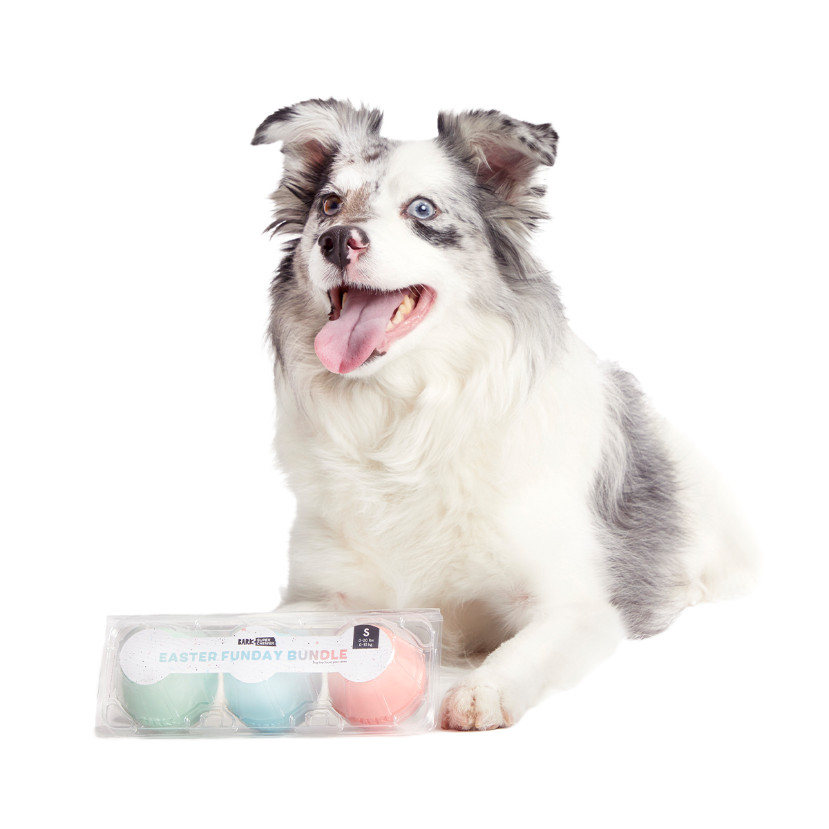 Easter Funday Bundle Super Chewer Durable Multi-Part + Fetch Dog Toy
